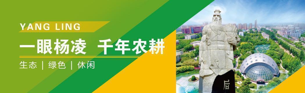 微信图片_20200430102351.jpg